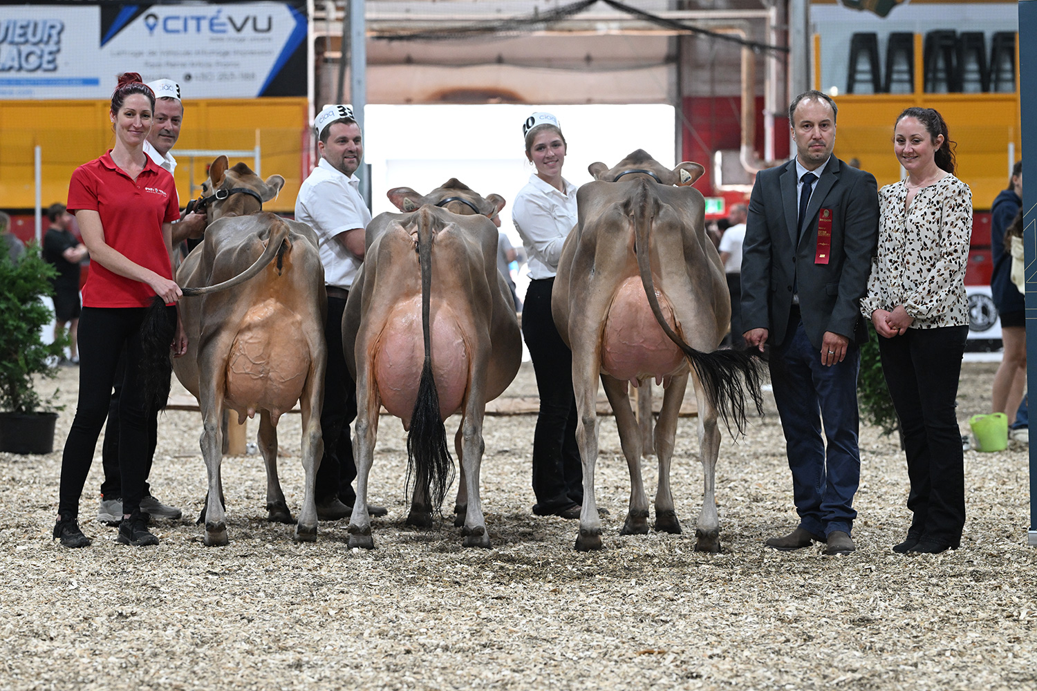 Grand championnat