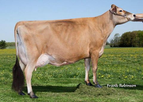 Grand-mère: Reyla Impuls Chardonnay EX 92 5E 9*