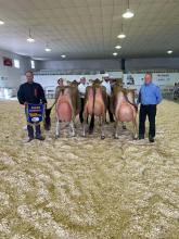 Grand championnat Senior